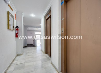 Sale - Apartment - Guardamar del Segura - Pueblo