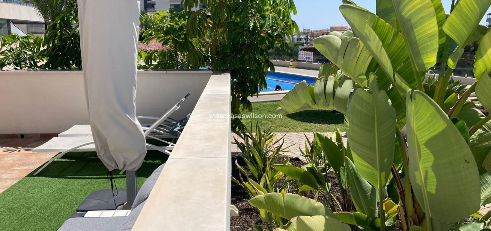 Sale - Appartement - Los Dolses