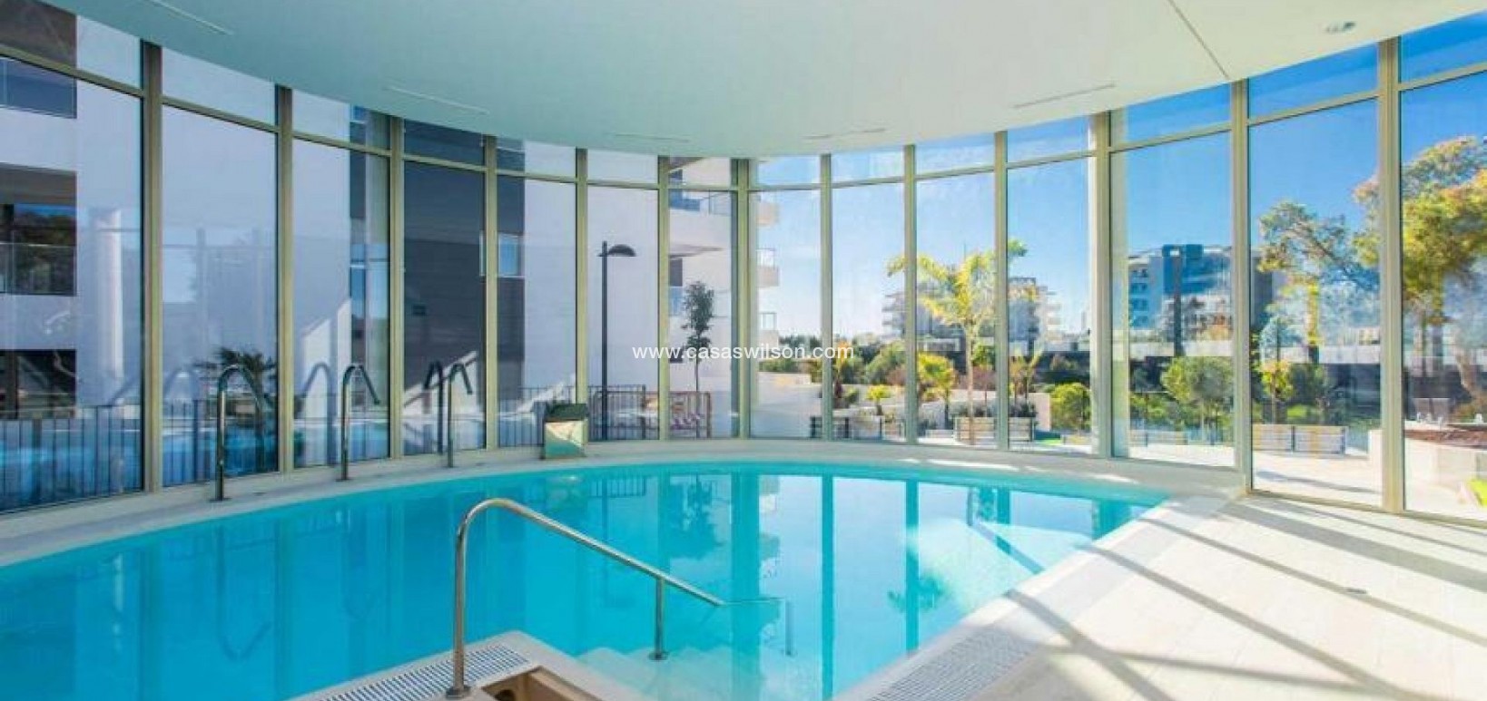 Sale - Appartement - Los Dolses