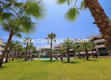 Sale - Apartment - Los Altos