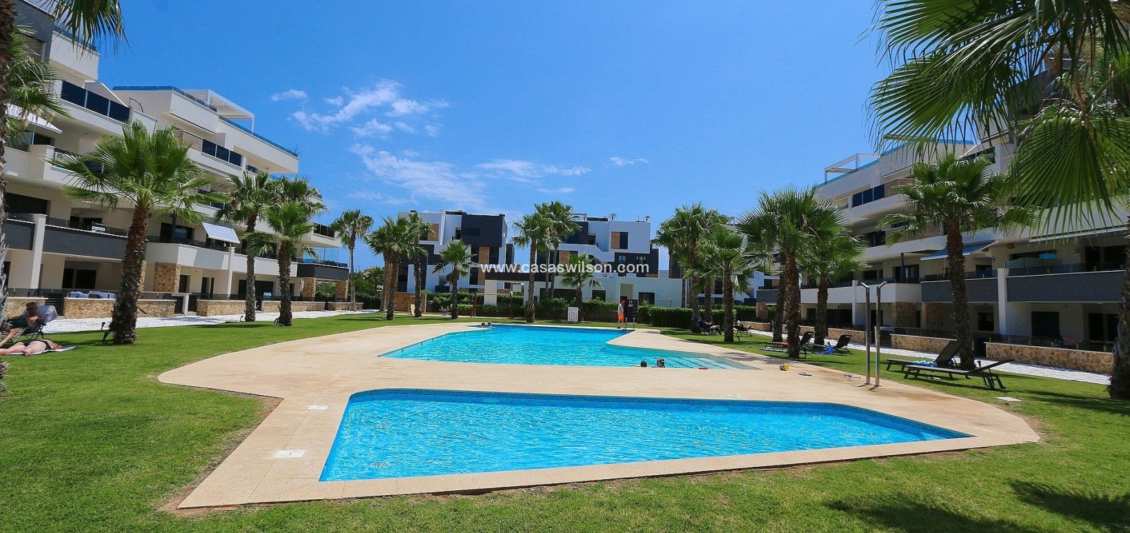 Sale - Apartment - Los Altos