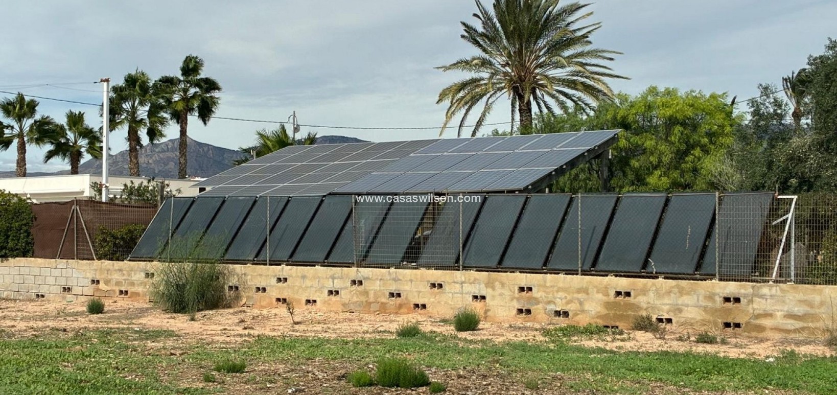 Sale - Villa - Crevillente