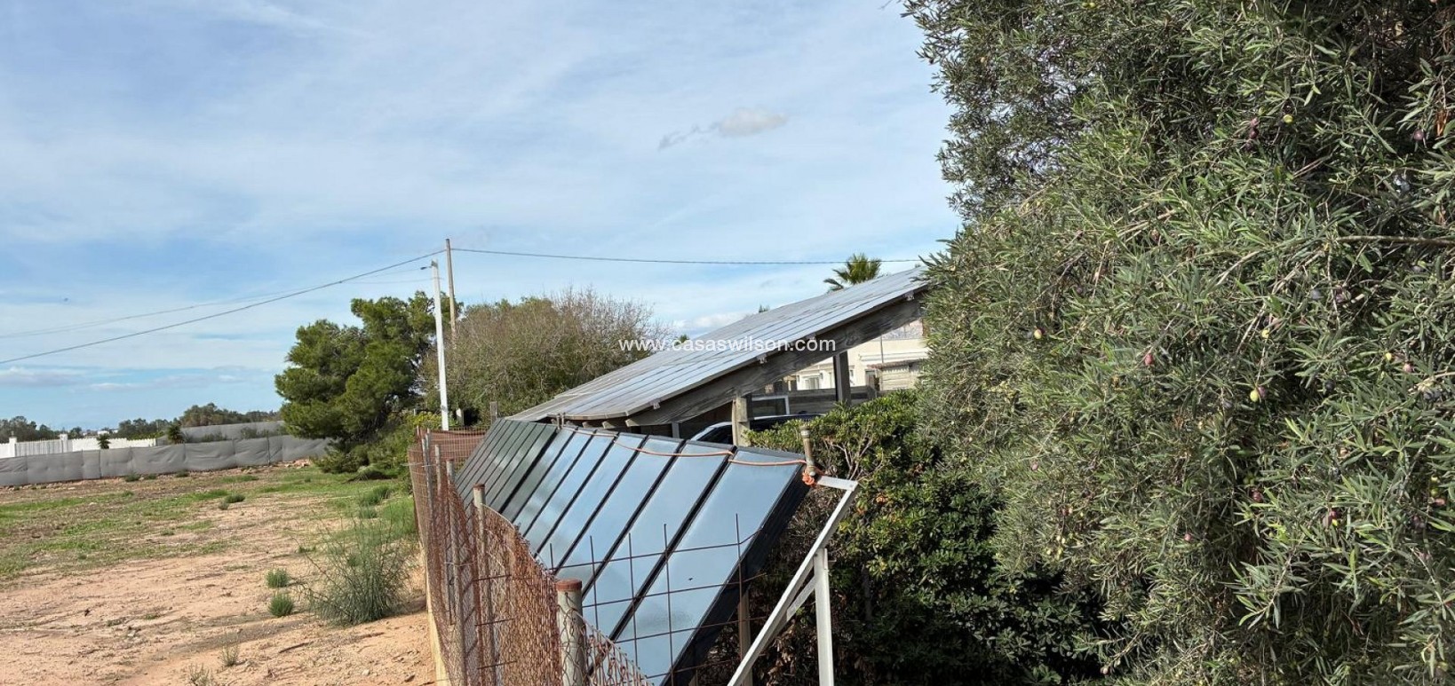 Sale - Villa - Crevillente