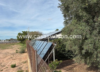Sale - Villa - Crevillente