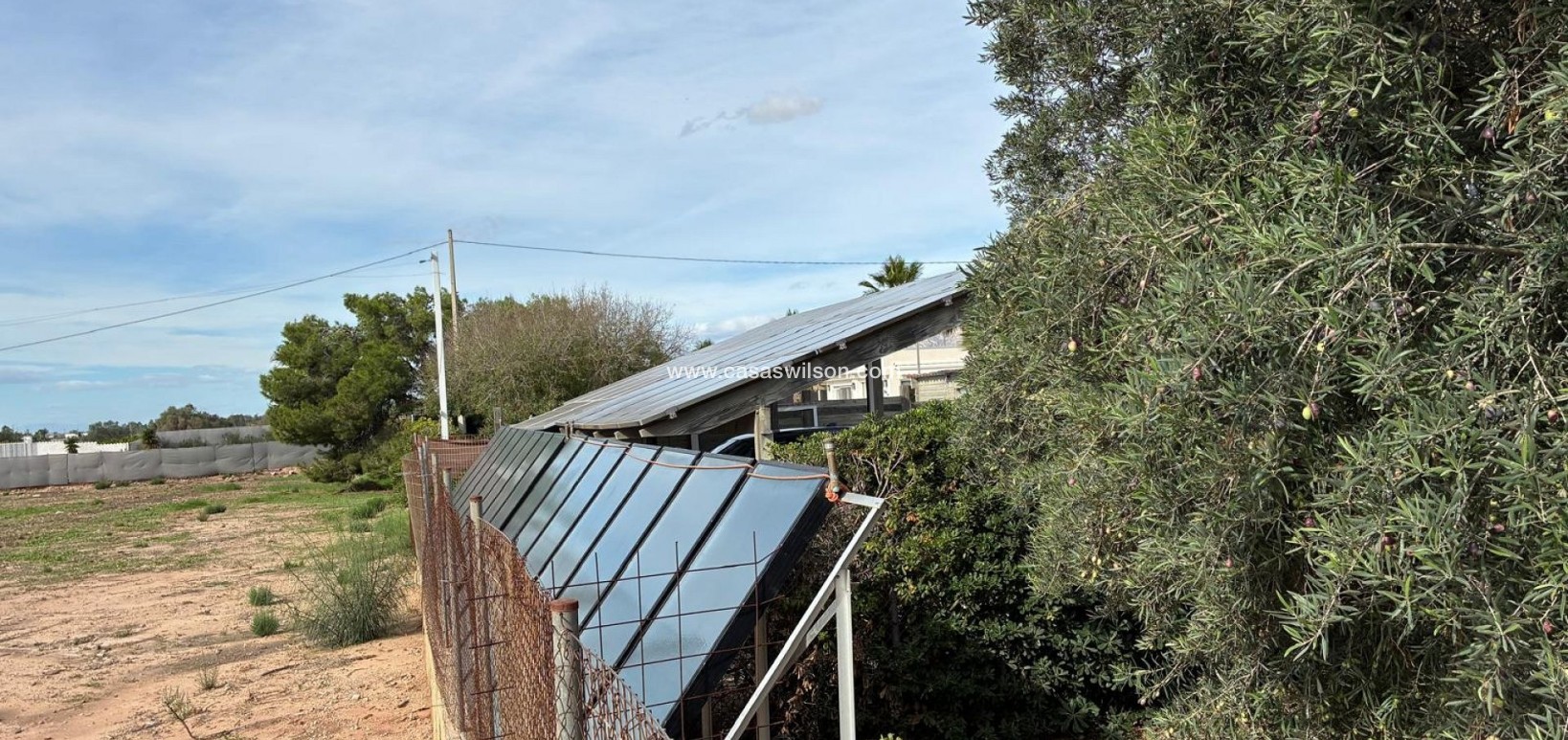 Sale - Villa - Crevillente