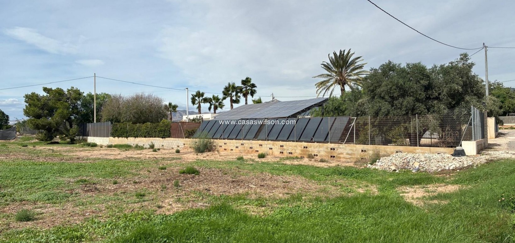 Sale - Villa - Crevillente