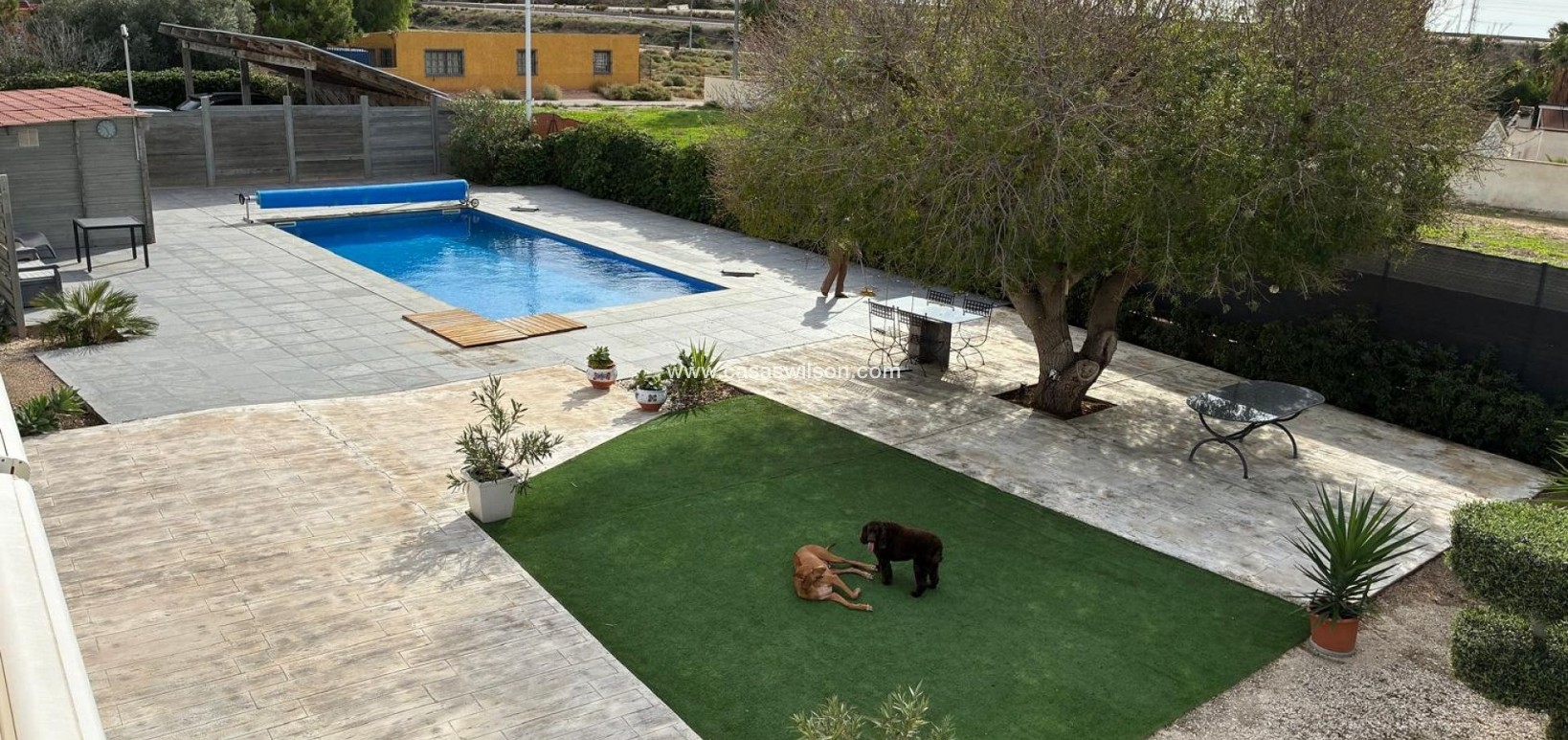 Sale - Villa - Crevillente