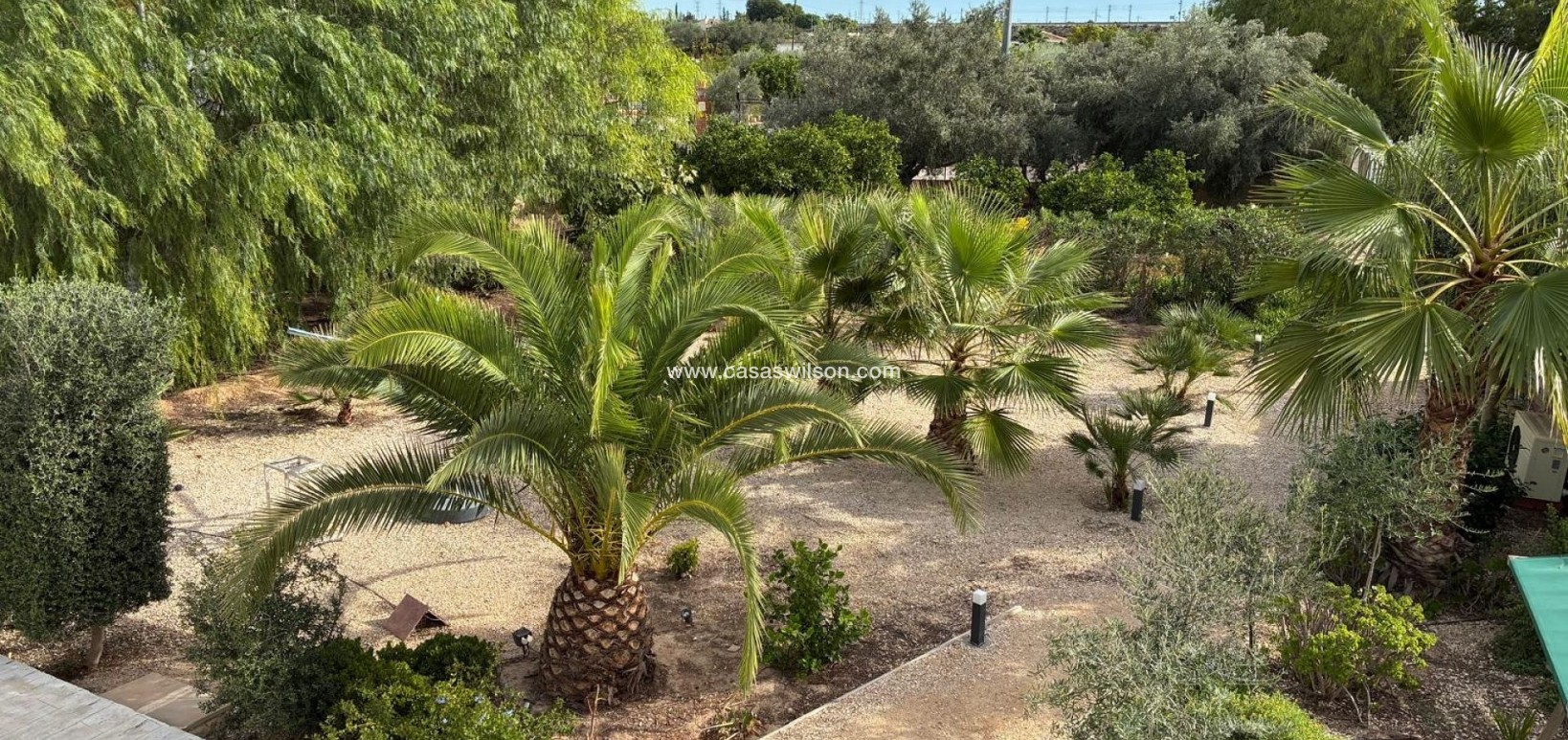 Sale - Villa - Crevillente