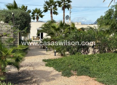 Sale - Villa - Crevillente
