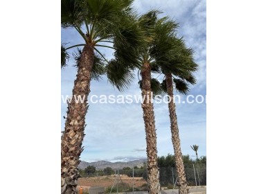 Sale - Villa - Crevillente