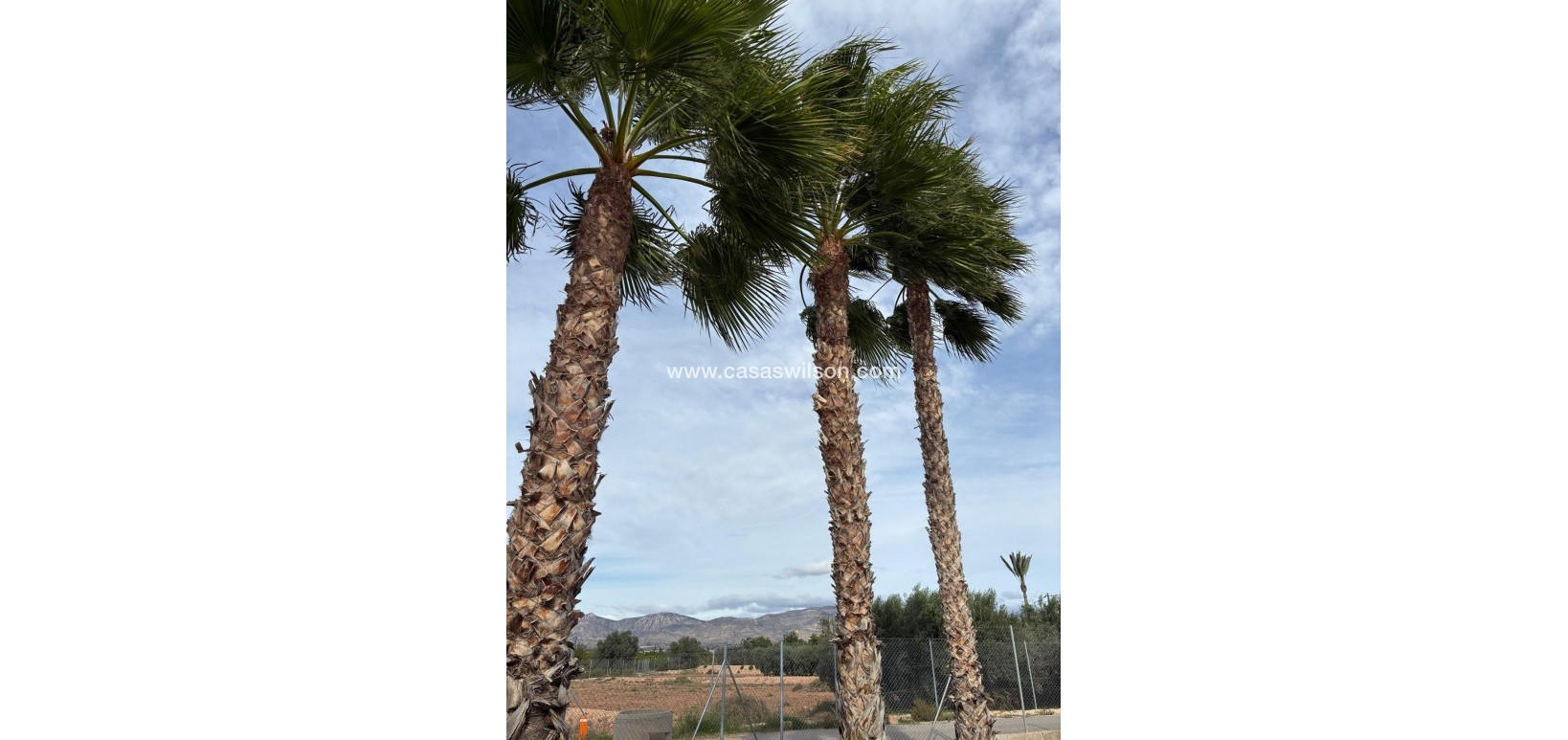 Sale - Villa - Crevillente