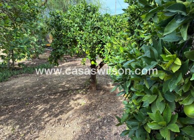 Sale - Villa - Crevillente