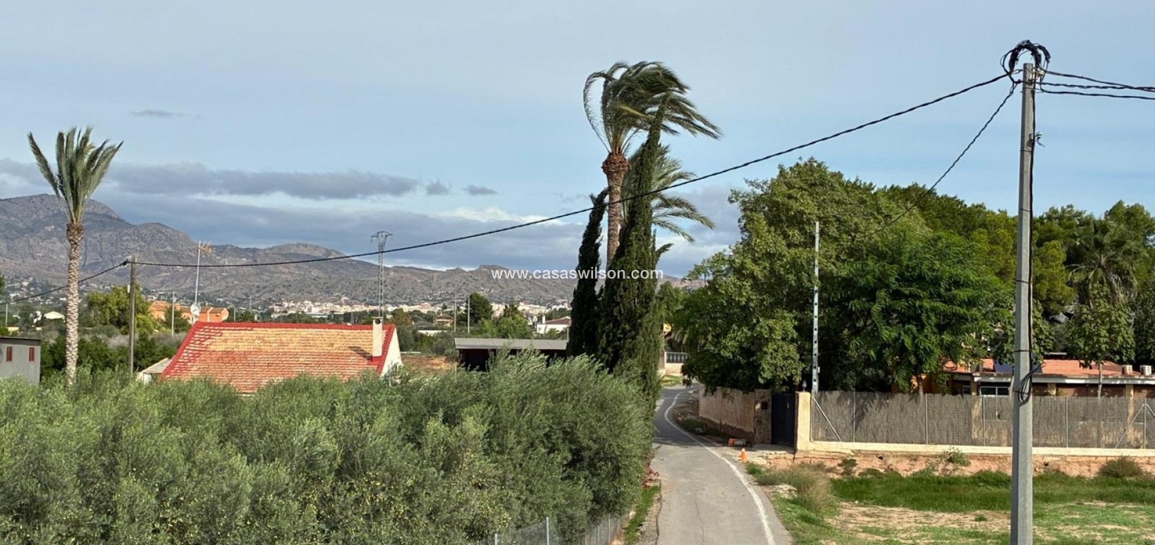 Sale - Villa - Crevillente