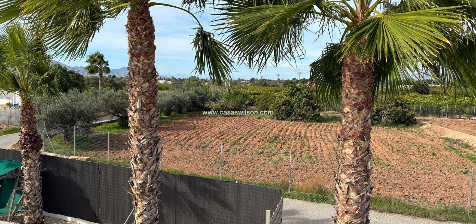 Sale - Villa - Crevillente