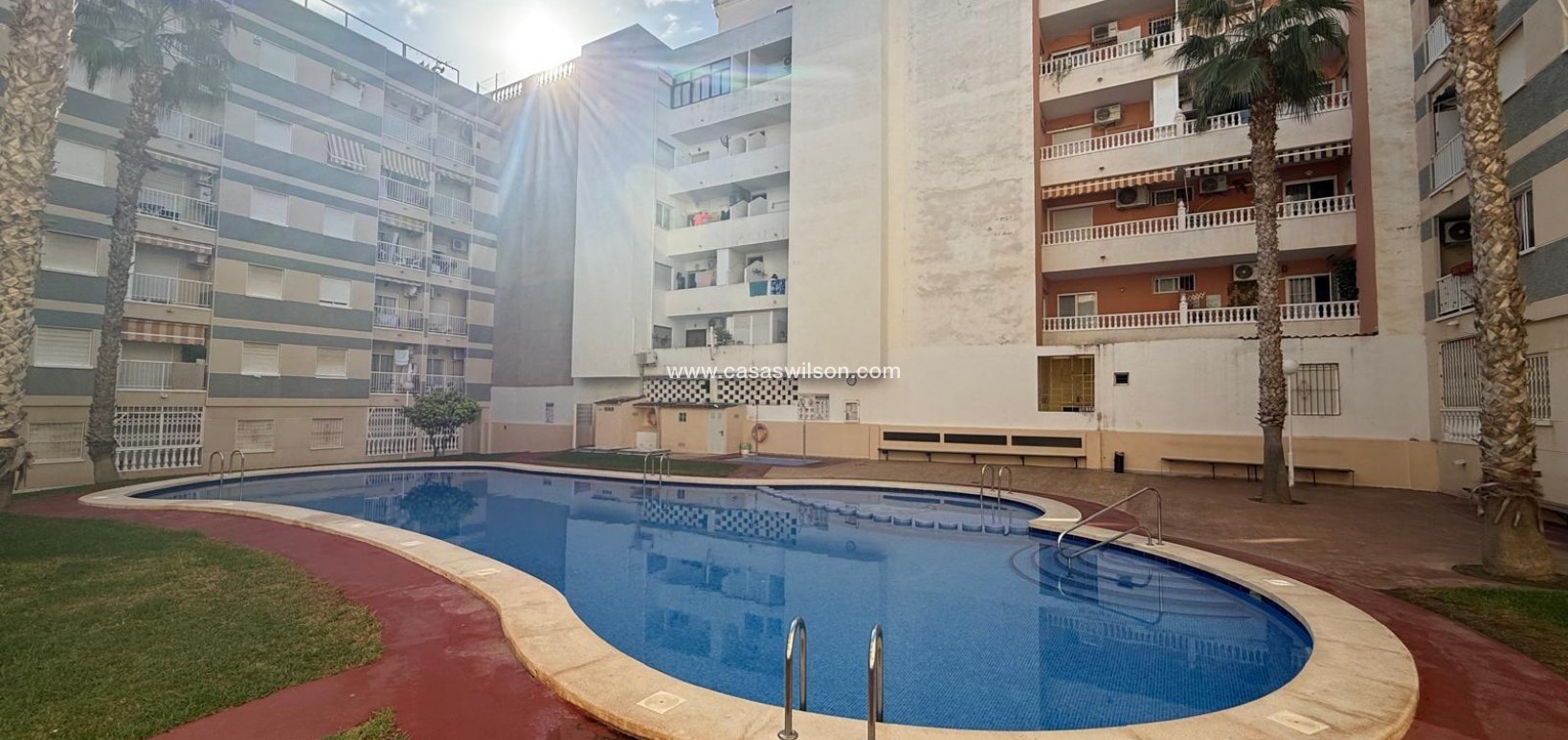Sale - Apartment - Torrevieja - Habaneras