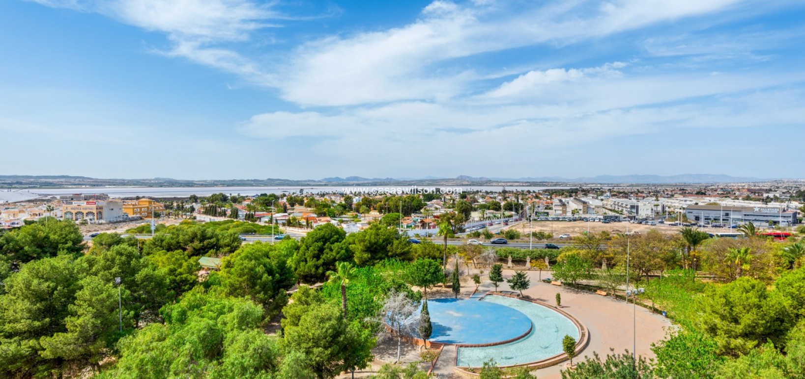 Sale - Apartment - Torrevieja - Costa Blanca