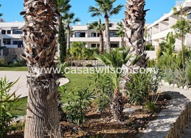 Sale - Apartment - Torrevieja - La veleta