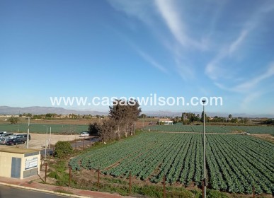 Sale - Apartment - Daya Vieja - Costa Blanca