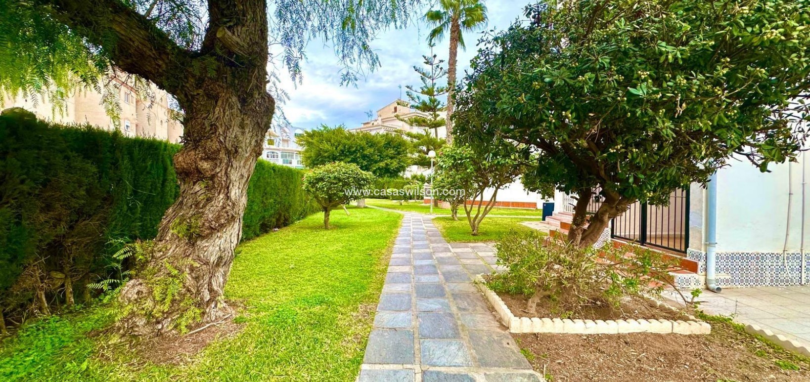 Sale - Appartement - Torrevieja - Estacion De Autobuses