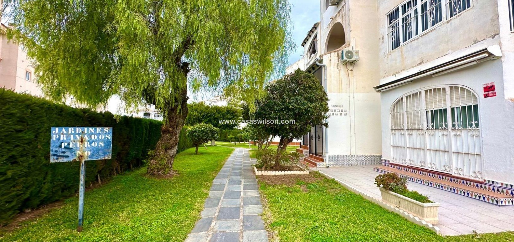 Sale - Appartement - Torrevieja - Estacion De Autobuses