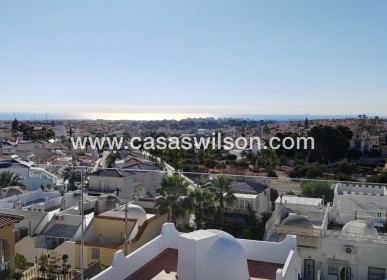 New Build - Villa - Torrevieja - Los Balcones - Los Altos del Edén