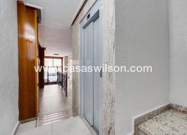 Venta - Apartamento - Torrevieja - Centro