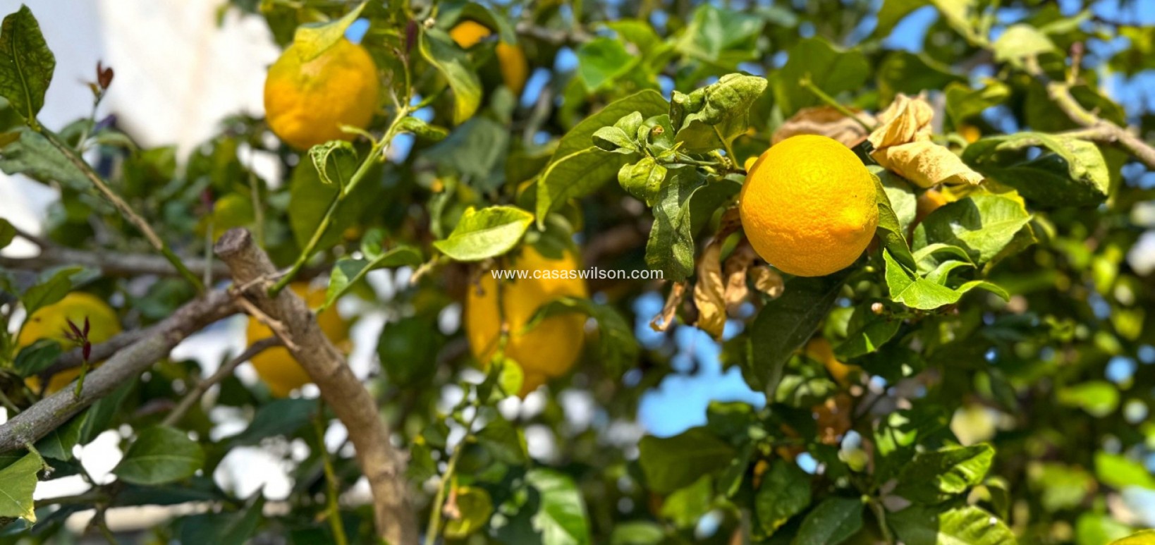 Sale - Villa - Orihuela Costa - Villamartín