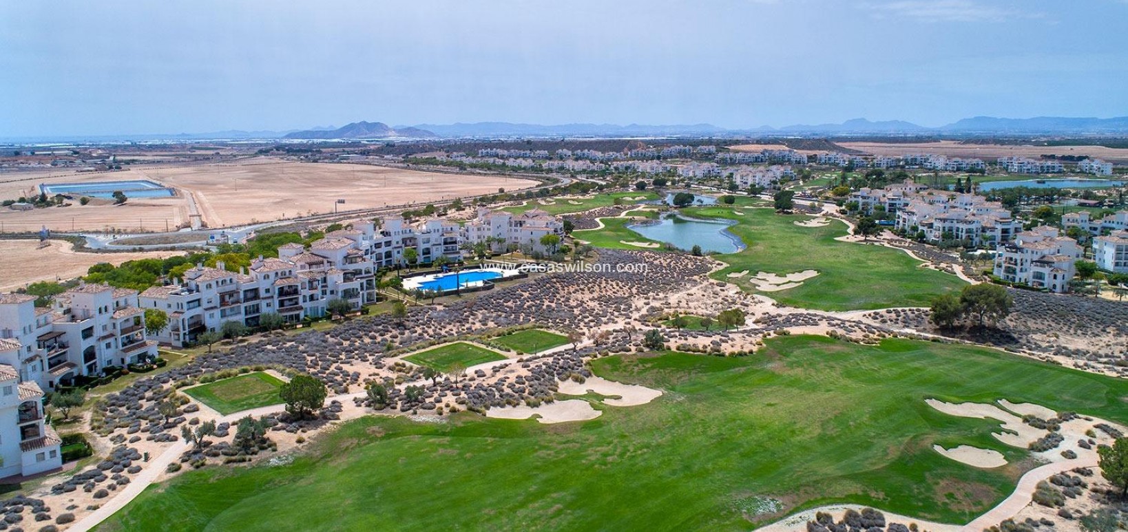 New Build - Villa - Sucina