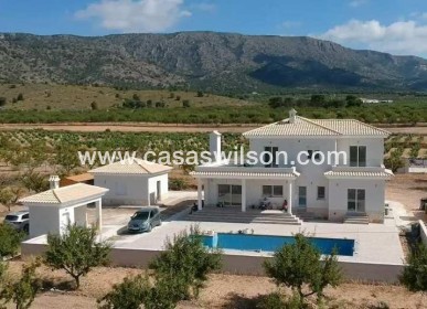 New Build - Villa - Pinoso - Camino Del Prado