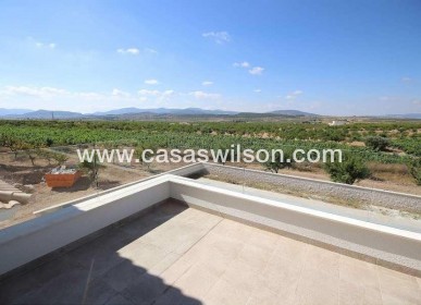 New Build - Villa - Pinoso - Camino Del Prado