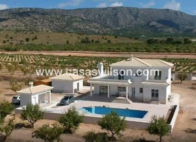 New Build - Villa - Pinoso - Camino Del Prado