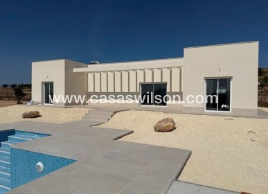 New Build - Villa - Pinoso - Camino Del Prado