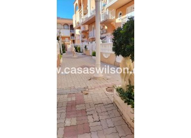 Sale - Apartment - Torrevieja - La Mata pueblo