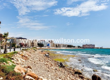 Sale - Apartment - Torrevieja - Curva Del Palangre