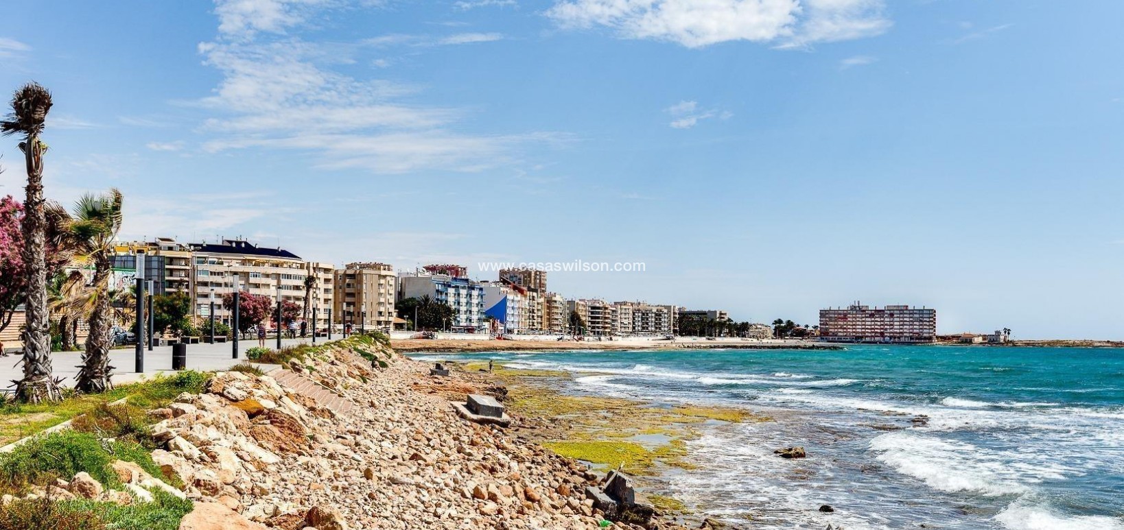 Sale - Apartment - Torrevieja - Curva Del Palangre