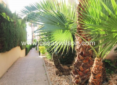 Sale - Apartment - Torrevieja - Costa Blanca