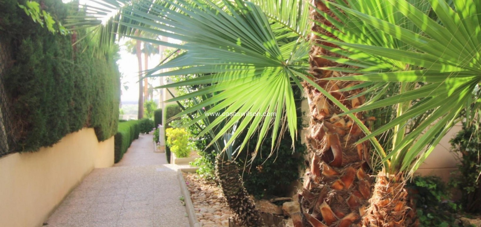 Sale - Apartment - Torrevieja - Costa Blanca