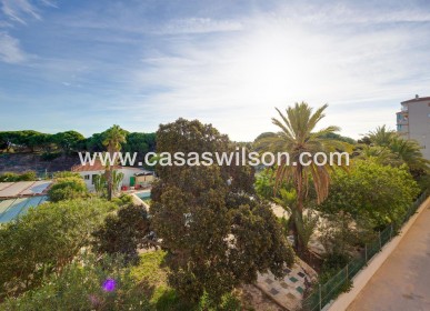 Sale - Apartment - Guardamar del Segura - Pinomar