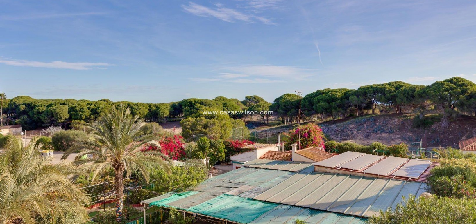 Sale - Apartment - Guardamar del Segura - Pinomar