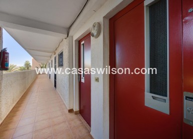 Sale - Apartment - Guardamar del Segura - Pinomar