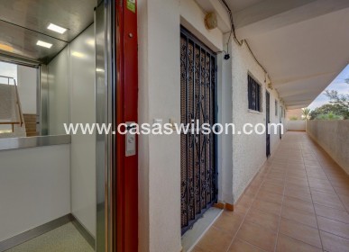 Sale - Apartment - Guardamar del Segura - Pinomar
