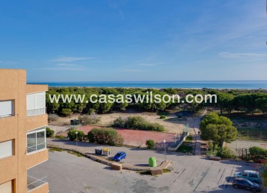Sale - Apartment - Guardamar del Segura - Pinomar