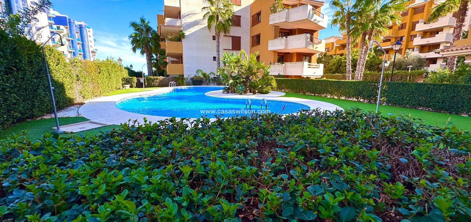 Sale - Apartment - Torrevieja - Punta prima