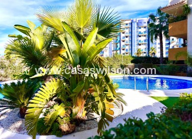 Sale - Apartment - Torrevieja - Punta prima