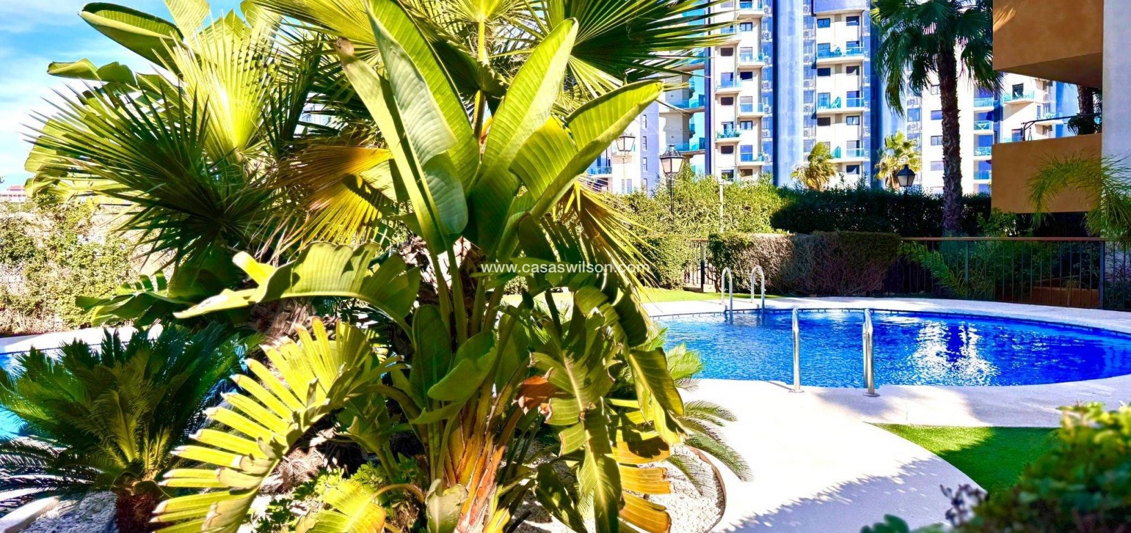 Sale - Apartment - Torrevieja - Punta prima