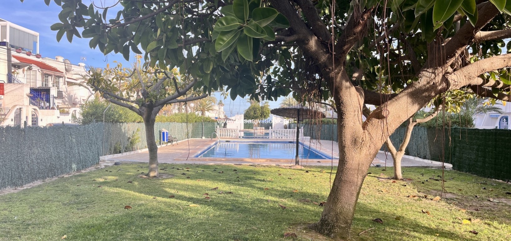 Sale - Apartment - Torrevieja - Costa Blanca