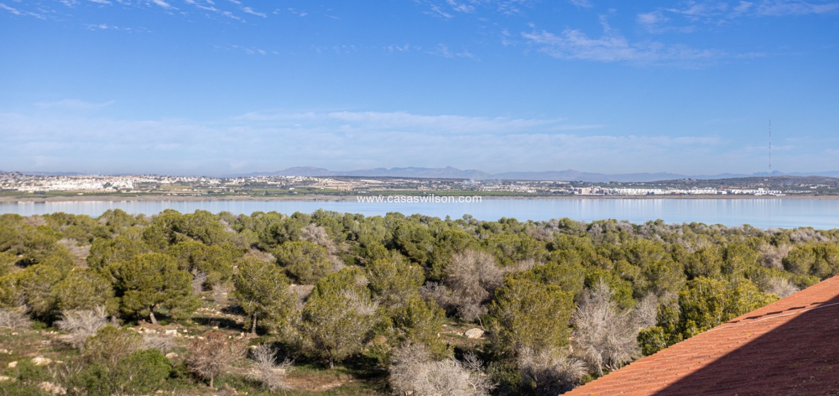 Sale - Apartment - Torrevieja - Costa Blanca