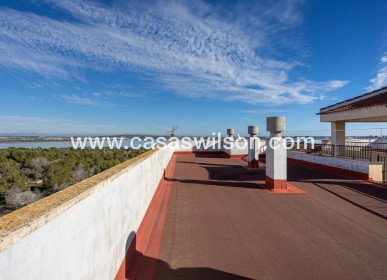 Sale - Apartment - Torrevieja - Costa Blanca