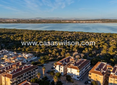 Sale - Apartment - Torrevieja - Costa Blanca