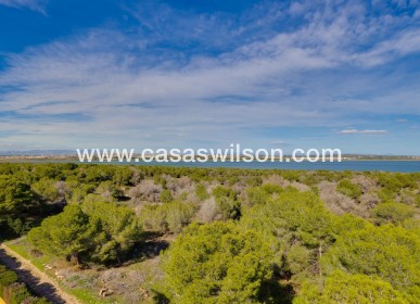 Sale - Apartment - Torrevieja - La Siesta - El Salado - Torreta